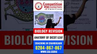 Biology Revision Anatomy of Dicot Leaf Explained by Sejal Mam competitionguru [upl. by Adella]