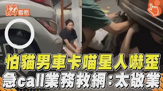 怕貓男「車卡喵星人」嚇歪！ 急call女業務救援網：太敬業了｜TVBS新聞｜擠看看 [upl. by Annahsad]