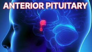 Anterior Pituitary Disorders updated 2023  CRASH Medical Review Series [upl. by Suivatram824]