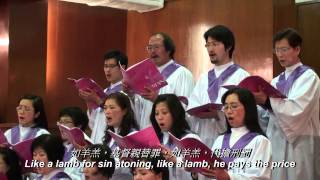 Like a Lamb 如羊羔 1 w lyrics in Chinese English amp Portuguese [upl. by Devina548]