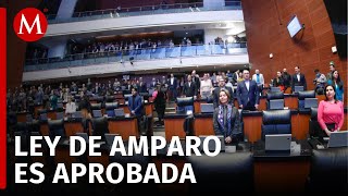 La Ley de Amparo es aprobada en lo general en la Cámara de Diputados [upl. by Shute]