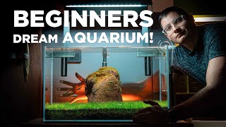 BEGINNERS dream AQUARIUM Watch how I built it in just a few SIMPLE STEPS [upl. by Nies]