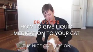 How To Give Liquid Medication To A Cat The Nice Version [upl. by Ahsaret30]