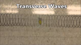 Transverse and Compression Waves Class Labs on Oct 27 and 28 [upl. by Mushro247]