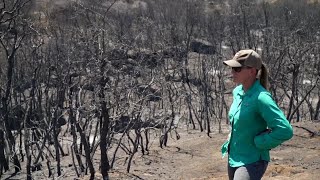 Havilah resident advocates for flood mitigation measures as Borel BAER Team completes assessment [upl. by Capone]