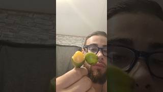 Quenepas Fruit From Puerto Rico [upl. by Trebla124]