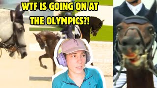 Paris Olympic Equestrian Sports A WELFARE DISASTER  Horse Behaviour Specialist Speaks Out [upl. by Adele]