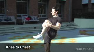 Dynamic Stretching Routine Before Your Workout [upl. by Adriell]