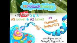 MrPollockBiology QampA 4 Humoral Immunity [upl. by Eelak993]