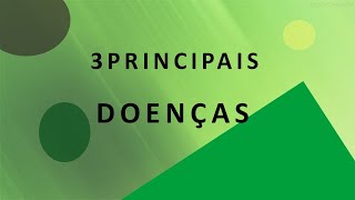 3 principais doenças na Pimentadecheiro [upl. by Celinda]