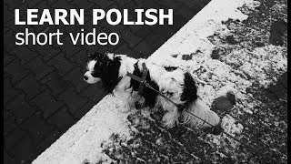 Learn Polish  Właśnie spadł pierwszy śnieg tej zimy [upl. by Anivol]