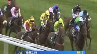 York 2010  Irish Thoroughbred Marketing Gimcrack Stakes [upl. by Prussian544]