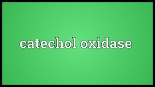 Catechol oxidase Meaning [upl. by Tessie]