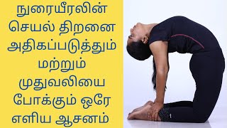 10 mins asana tat will help increase your lung capacity and reduce Back Pain in Tamil By DrLakshmi [upl. by Natye889]