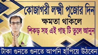 কোজাগরী লক্ষ্মী পূজার দিন শিকড় সহ এই গাছটি তুলে নিয়ে আসুন। টাকা গুনতে গুনতে আপনি হাঁপিয়ে উঠবেন [upl. by Anelaj932]