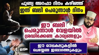 ഇന്ന് ബലി പെരുന്നാൾ ദിനം പോരിശ ഏറിയ ഈ രാപ്പലുകളിൽ ചെയ്യേണ്ട മുഴുവൻ കാര്യങ്ങളും Dhul Hijjah 10 [upl. by Anahsed357]