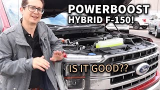 2021 F150 Hybrid PowerBoost Engine  Everything you need to know [upl. by Onifur]