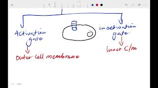 NeuroAnatomy and Physiology Axonal Action Potential [upl. by Samaj]