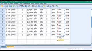 Alfa de Cronbach en SPSS [upl. by Tlihcox]