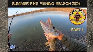 SUMMER PIKE FISHING SEASON 2024 PART 5 [upl. by Gipsy]