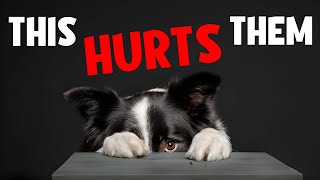 These 9 Everyday Things ARE HURTING Your Dog’s Feelings 🔥 [upl. by Suilenroc]