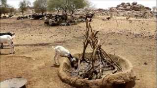 WMG in Burkina Faso  Gabions for Watershed Restoration [upl. by Ttik]