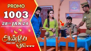 உண்மையை வெளிச்சத்திற்கு கொண்டு வரப் போராடும் தமிழ்வருண😍😍 Anbe vaa promo 1003 review Anbe vaa 1003 [upl. by Daj]