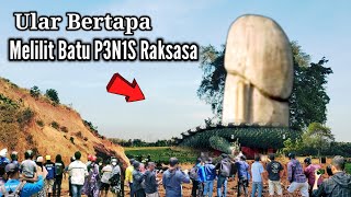 Ular Bertapa Melilit Batu P3N1S Raksasa Diatas Bukit Keramat Jawa Timur [upl. by Zeret]