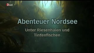 Abenteuer Nordsee  GERMAN DOKU [upl. by Ashbey247]