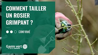 TUTO Comment tailler un rosier grimpant   Jardinerie Gamm vert [upl. by Aivartal]