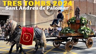 Cabalgata de los Tres Tombs de Sant Andreu de Palomar 2024 en Barcelona [upl. by Mirth]