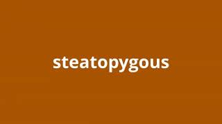 what is the meaning of steatopygous [upl. by Yme596]