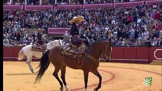 Real Maestranza de Caballería de Sevilla Medalla de Andalucía 2020  Enganches de Sevilla 2018 [upl. by Caundra]