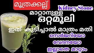 ഇനി ഡോക്ടറിന്റെ അടുത്ത് പോവേണ്ട മൂത്രക്കല്ല് സെർജറിയും വേദനയും ഇല്ലാതെ മാറ്റാം Kidney Stone [upl. by Benson]