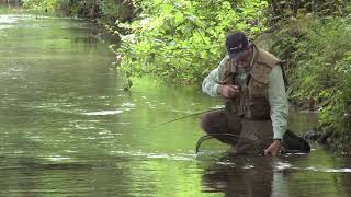 Fly Fishing The River Avon Chalk Stream [upl. by Bradwell]