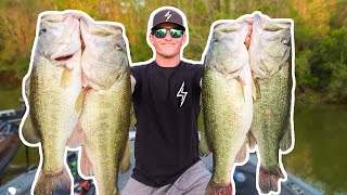 RECORD DAY OF BASS FISHING UNBELIEVABLE [upl. by Enaelem]