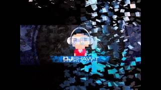 DJ Maclean Ft DJ Shaw T  We Just Wanna Drink We Just Wanna Party [upl. by Amehsat]