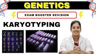 GENETICS  Karyotyping  Basics Procedure amp Application  MedSeed MBBS [upl. by Lawry]