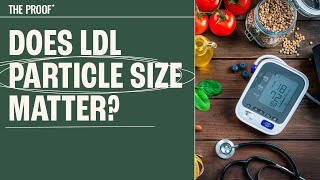 Does LDL particle size matter  The Proof with Simon Hill [upl. by Ginsburg612]