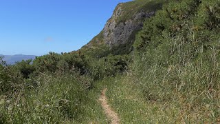 4K UHD  Virtual Walks with Nature Sounds Short  Ellas Track  Port Hills  Canterbury [upl. by Freida]