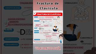 Fractura de Clavícula Traumatología medicina resúmenes tips [upl. by Kred661]