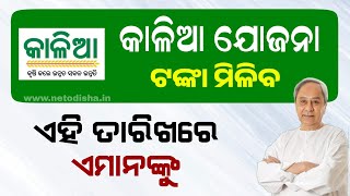 Kalia Yojana Big Update 9th March  Kalia Yojana Money Transfer 2024  Odisha Yojana [upl. by Epner]