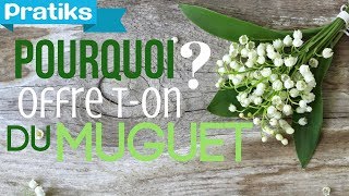 Pourquoi offreton du muguet le 1er Mai [upl. by Normand361]