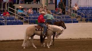 Nutrena Ride the Pattern Ranch Riding [upl. by Ardnwahsal407]