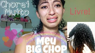 Big Chop Emocionante 1 ano e 4 meses de Transição  Dayane F Silva [upl. by Stochmal]