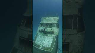 Freediving over a MASSIVE Shipwreck [upl. by Enined73]