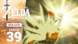 Soluce Breath of the Wild – Étape 39  Les Souvenirs [upl. by Aysab636]