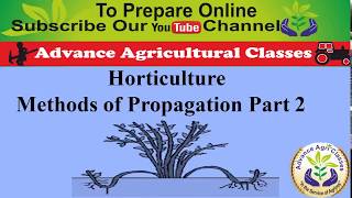 Horticulture Methods of Propagation Part 2 HindiEnglish IBPS AFO [upl. by Enaillil]