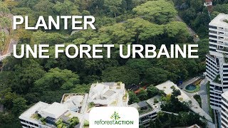 Forêts urbaines  plantez votre forêt en ville avec la méthode Miyawaki [upl. by Oirottiv681]