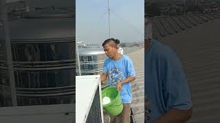 how to clean air conditioner outside unitservice AC outdoor [upl. by Chadabe948]